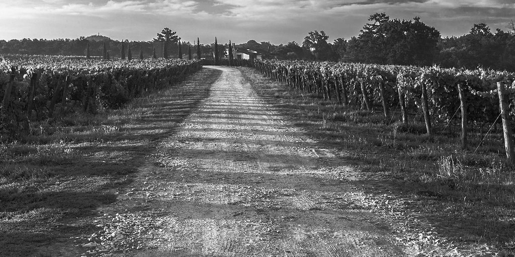 la serventía como camino privado es común en la comunidad autónoma de Galicia.